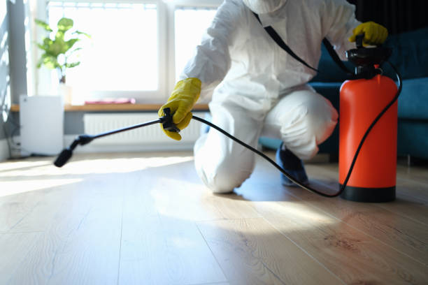 Reliable Odor Removal contractor in Clinton, MD by Trauma Clean Pros